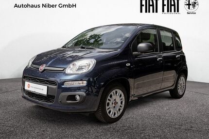 Fiat Panda Gebrauchtwagen