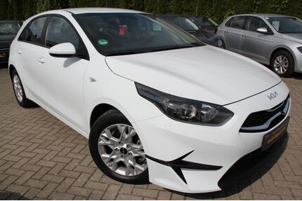 Kia ceed / Ceed Gebrauchtwagen