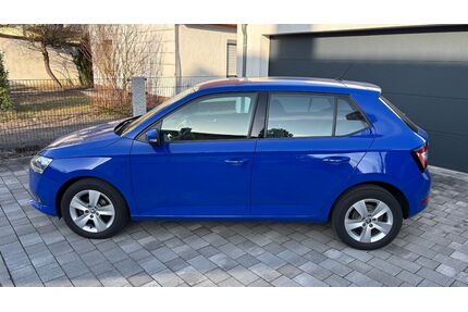Skoda Fabia Gebrauchtwagen