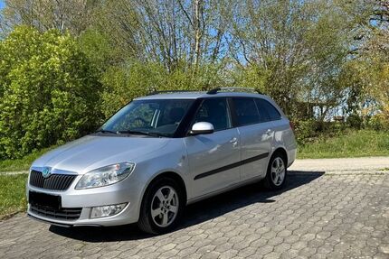 Skoda Fabia Gebrauchtwagen