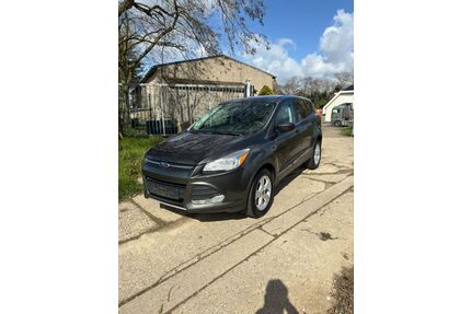 Ford Kuga Gebrauchtwagen