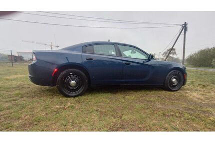 Dodge Charger Gebrauchtwagen