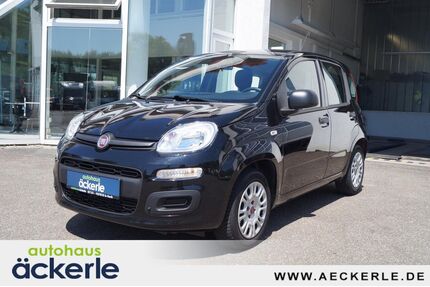 Fiat Panda Gebrauchtwagen