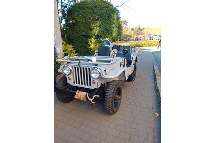Jeep Willys Oldtimer