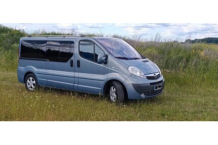 Opel Vivaro Gebrauchtwagen