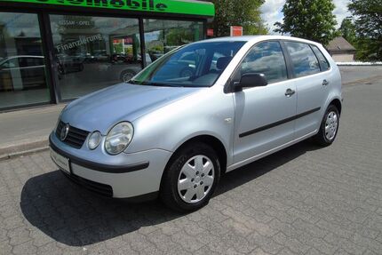 VW Polo Gebrauchtwagen