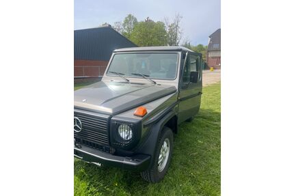 Mercedes-Benz G 250 Gebrauchtwagen