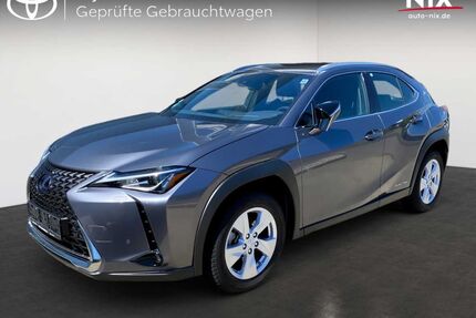 Lexus UX Gebrauchtwagen