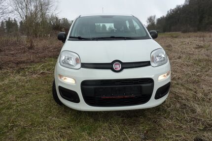 Fiat New Panda Gebrauchtwagen