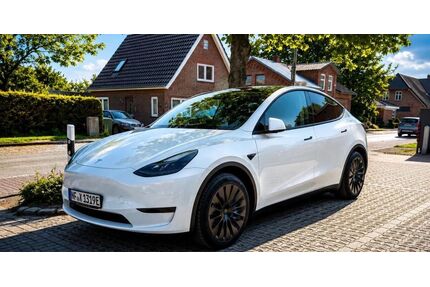 Tesla Model Y Gebrauchtwagen