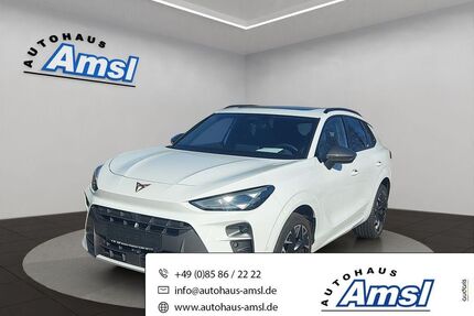 Cupra Terramar Gebrauchtwagen