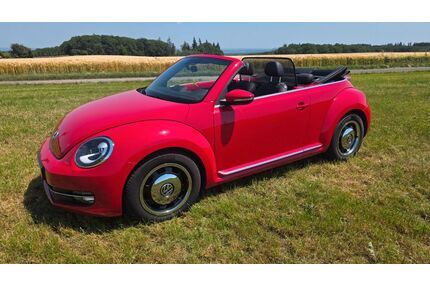 VW New Beetle Gebrauchtwagen