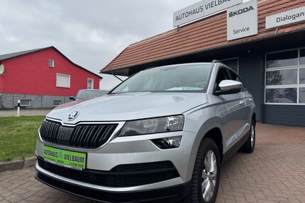 Skoda Karoq Gebrauchtwagen