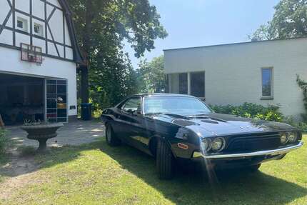 Dodge Challenger Gebrauchtwagen