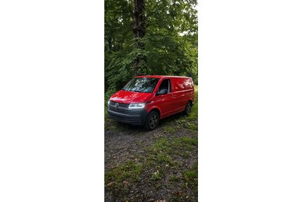 VW T6 Transporter Gebrauchtwagen