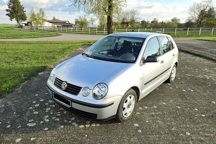 VW Polo Gebrauchtwagen