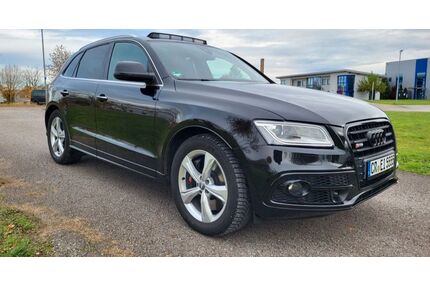 Audi SQ5 Gebrauchtwagen