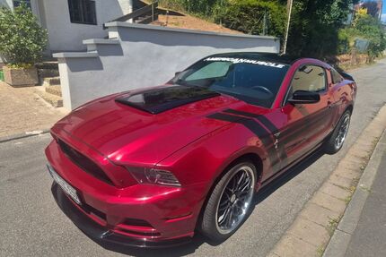 Ford Mustang Gebrauchtwagen