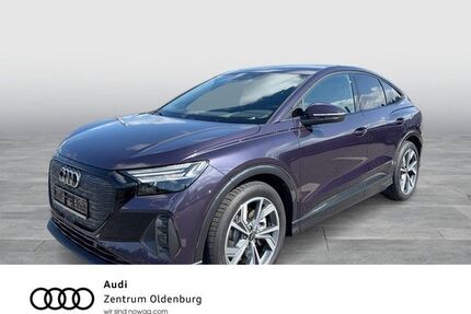 Audi Q4 e-tron Gebrauchtwagen