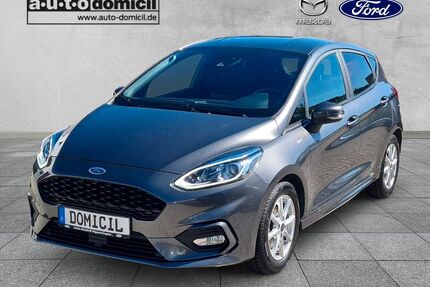 Ford Fiesta Gebrauchtwagen
