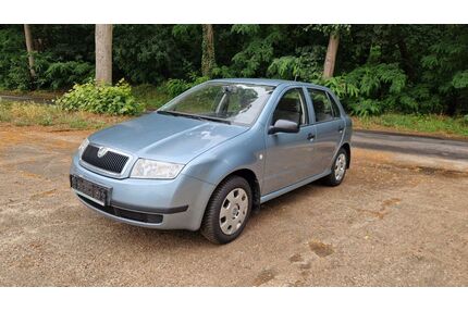Skoda Fabia Gebrauchtwagen