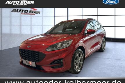 Ford Kuga Gebrauchtwagen