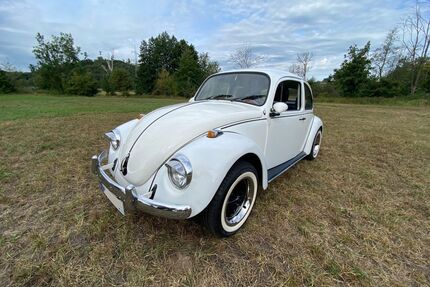 VW Käfer Gebrauchtwagen