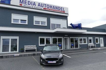 Ford Fiesta Gebrauchtwagen