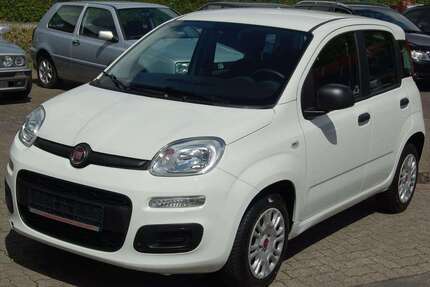 Fiat Panda Gebrauchtwagen