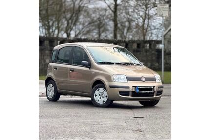 Fiat Panda Gebrauchtwagen