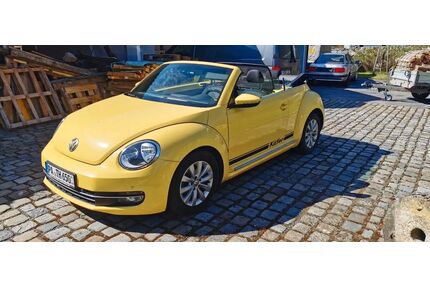 VW Beetle Gebrauchtwagen