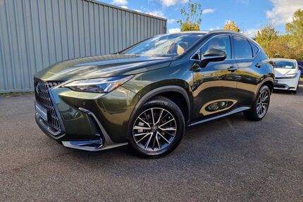 Lexus NX 450h Gebrauchtwagen