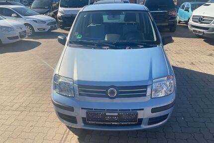 Fiat Panda Gebrauchtwagen
