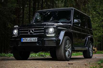 Mercedes-Benz G 350 Gebrauchtwagen
