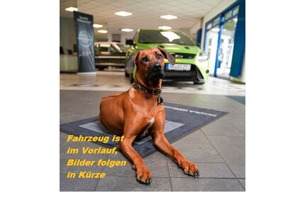 Ford Tourneo Courier Gebrauchtwagen