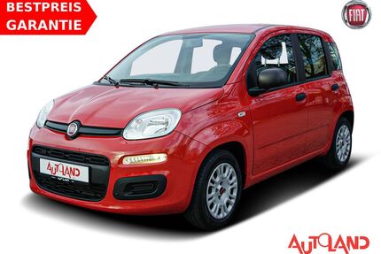 Fiat Panda Gebrauchtwagen