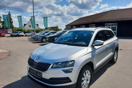 Skoda Karoq Gebrauchtwagen