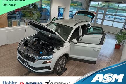 Skoda Karoq Gebrauchtwagen