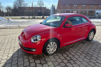 VW Beetle Gebrauchtwagen