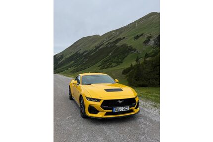 Ford Mustang Gebrauchtwagen