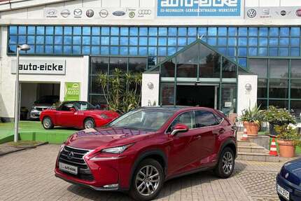 Lexus NX 300h Gebrauchtwagen