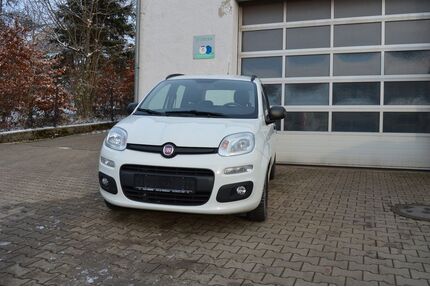 Fiat Panda Gebrauchtwagen