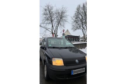 Fiat Panda Gebrauchtwagen