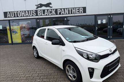 Kia Picanto Gebrauchtwagen