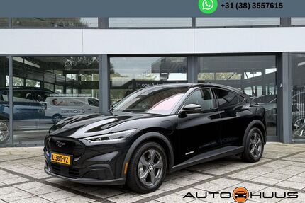 Ford Mustang Mach-E Gebrauchtwagen