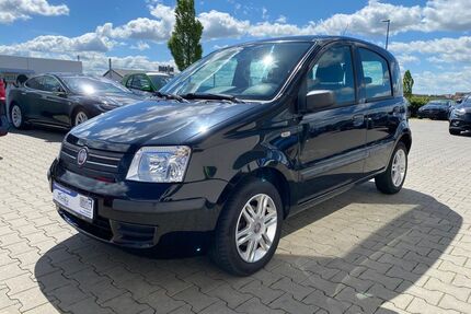 Fiat Panda Gebrauchtwagen