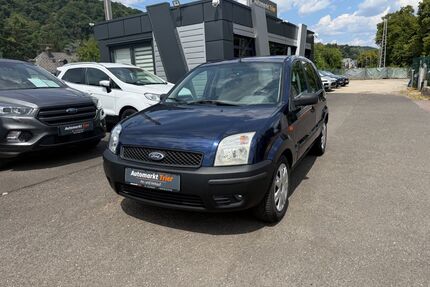 Ford Fusion Gebrauchtwagen