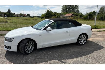 Audi A5 Gebrauchtwagen