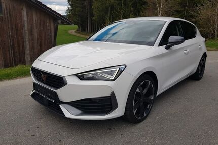 Cupra Leon Gebrauchtwagen