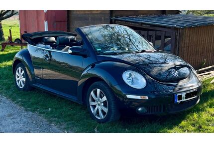 VW Beetle Gebrauchtwagen